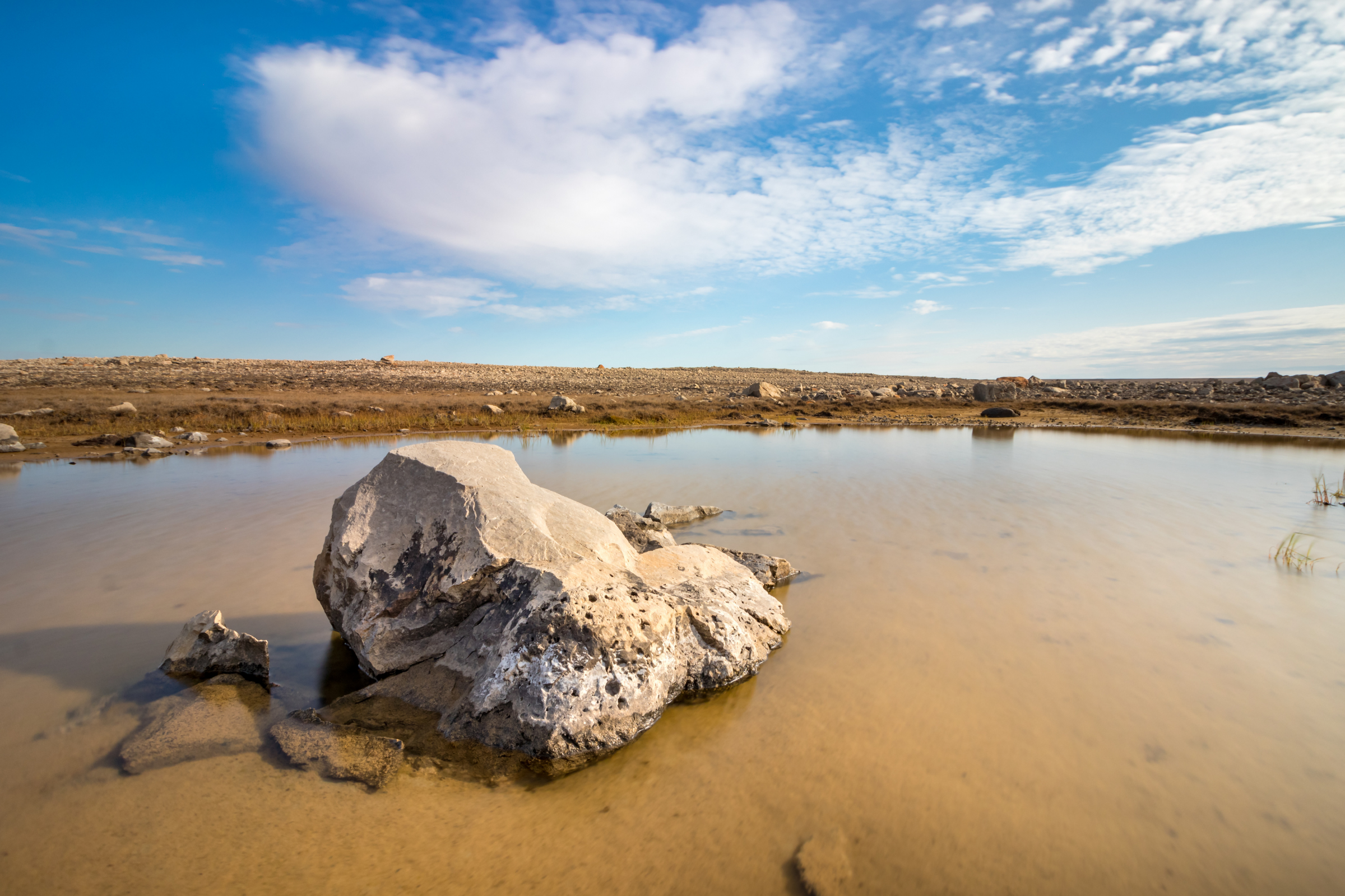 388 victoria island, nunavut.webp
